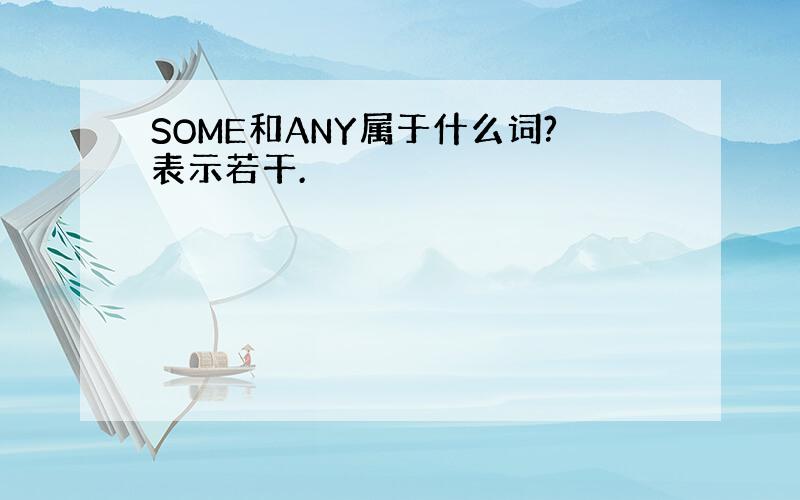 SOME和ANY属于什么词?表示若干.