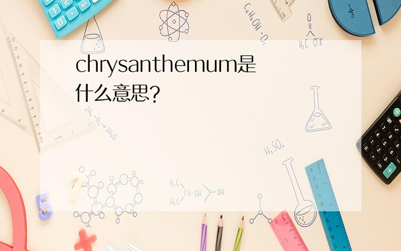 chrysanthemum是什么意思?