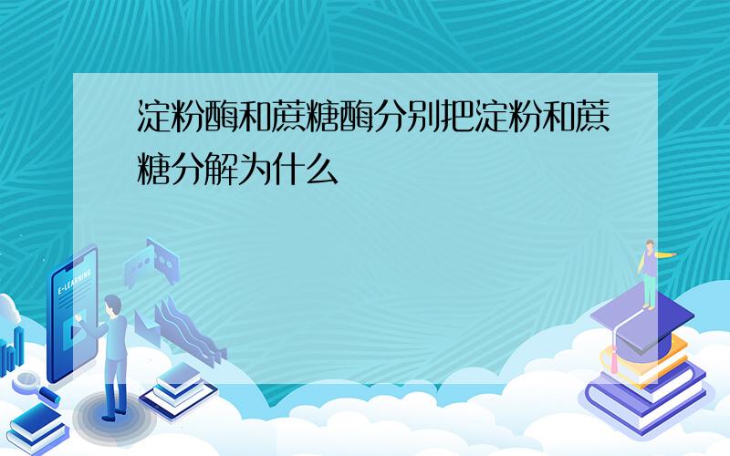 淀粉酶和蔗糖酶分别把淀粉和蔗糖分解为什么