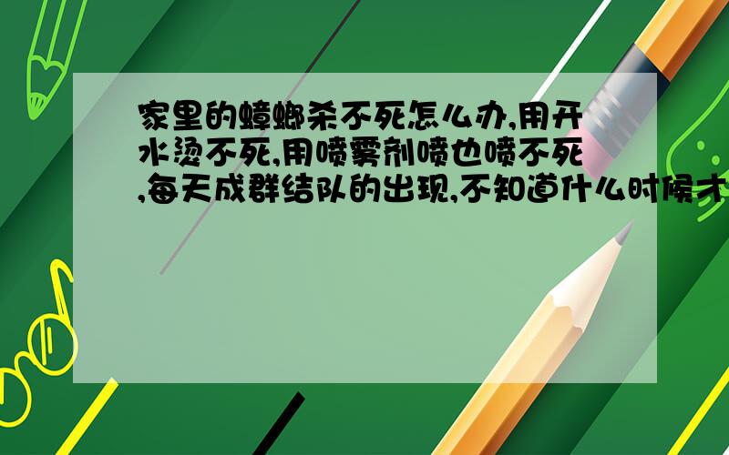 家里的蟑螂杀不死怎么办,用开水烫不死,用喷雾剂喷也喷不死,每天成群结队的出现,不知道什么时候才是个头,不会要长期跟蟑螂住