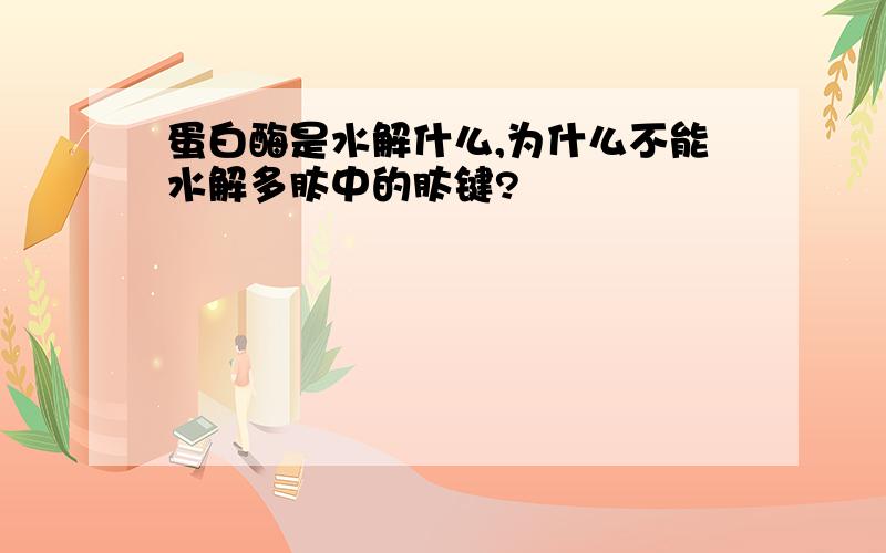 蛋白酶是水解什么,为什么不能水解多肽中的肽键?