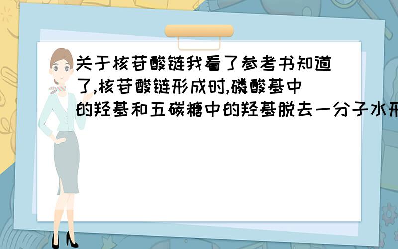 关于核苷酸链我看了参考书知道了,核苷酸链形成时,磷酸基中的羟基和五碳糖中的羟基脱去一分子水形成化学键.但是究竟是哪个脱去