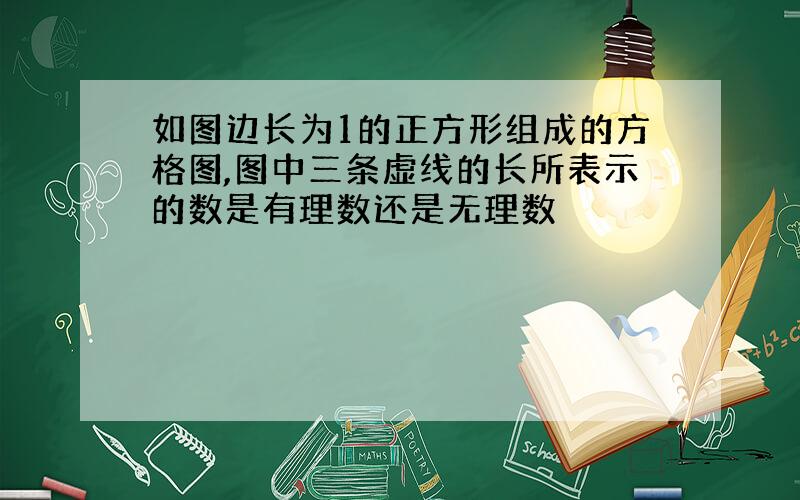 如图边长为1的正方形组成的方格图,图中三条虚线的长所表示的数是有理数还是无理数