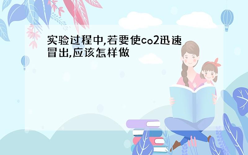 实验过程中,若要使co2迅速冒出,应该怎样做