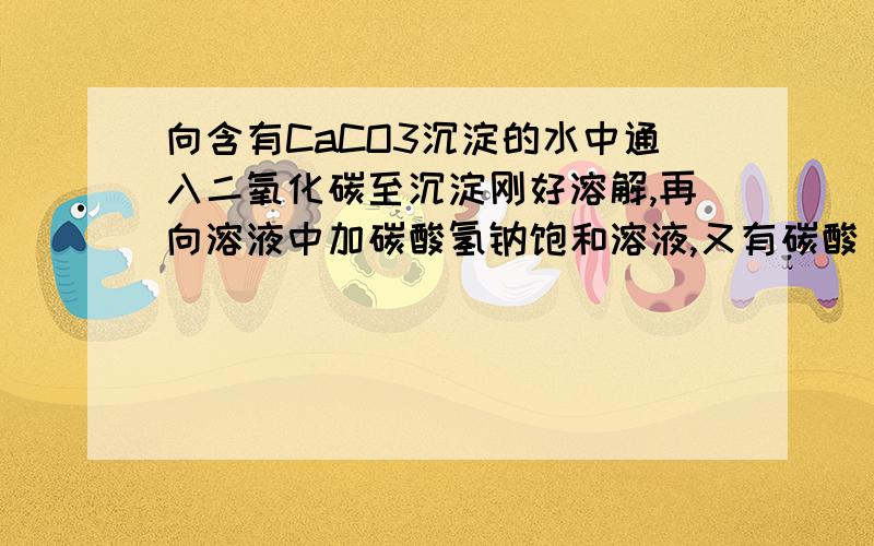 向含有CaCO3沉淀的水中通入二氧化碳至沉淀刚好溶解,再向溶液中加碳酸氢钠饱和溶液,又有碳酸