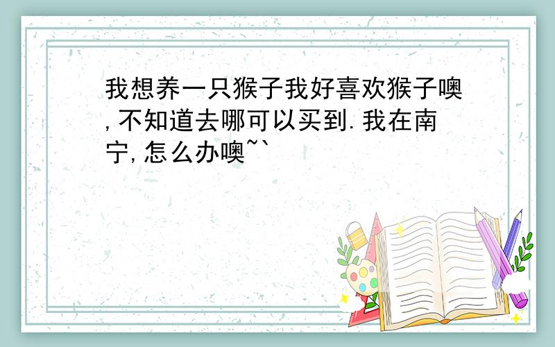 我想养一只猴子我好喜欢猴子噢,不知道去哪可以买到.我在南宁,怎么办噢~`