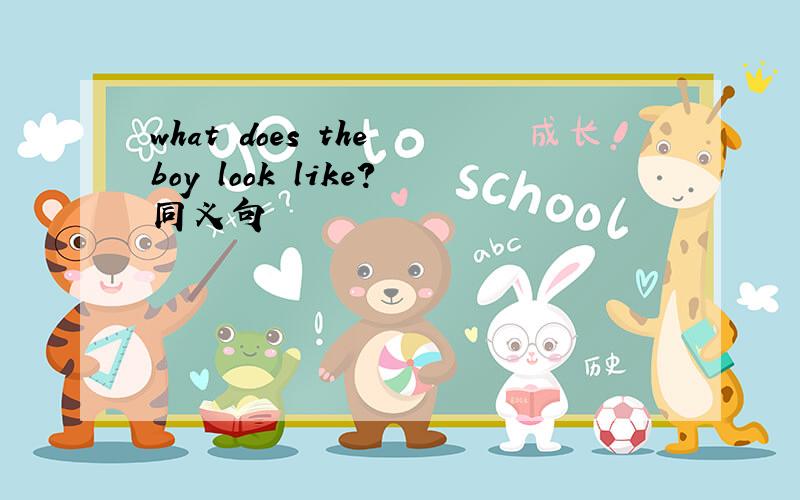 what does the boy look like?同义句