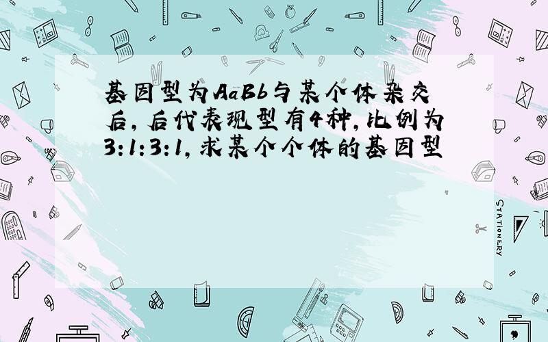 基因型为AaBb与某个体杂交后,后代表现型有4种,比例为3:1:3:1,求某个个体的基因型