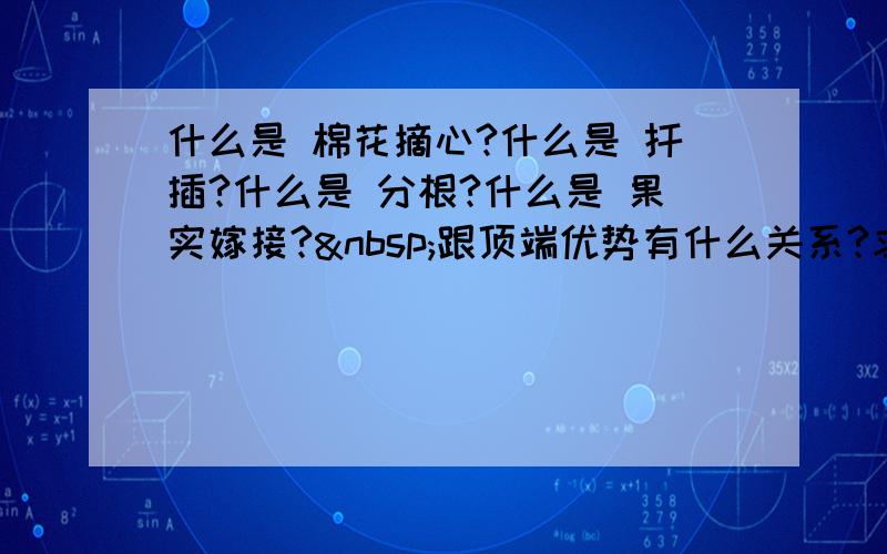 什么是 棉花摘心?什么是 扦插?什么是 分根?什么是 果实嫁接? 跟顶端优势有什么关系?求赐教!