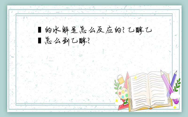 酯的水解是怎么反应的?乙醇乙酯怎么到乙醇?