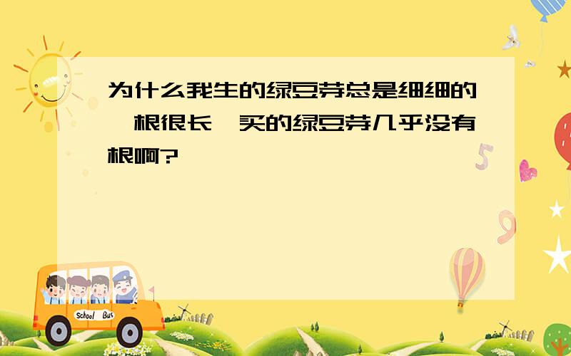 为什么我生的绿豆芽总是细细的、根很长,买的绿豆芽几乎没有根啊?