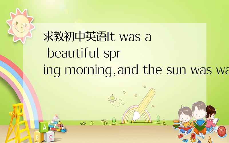 求教初中英语It was a beautiful spring morning,and the sun was warm