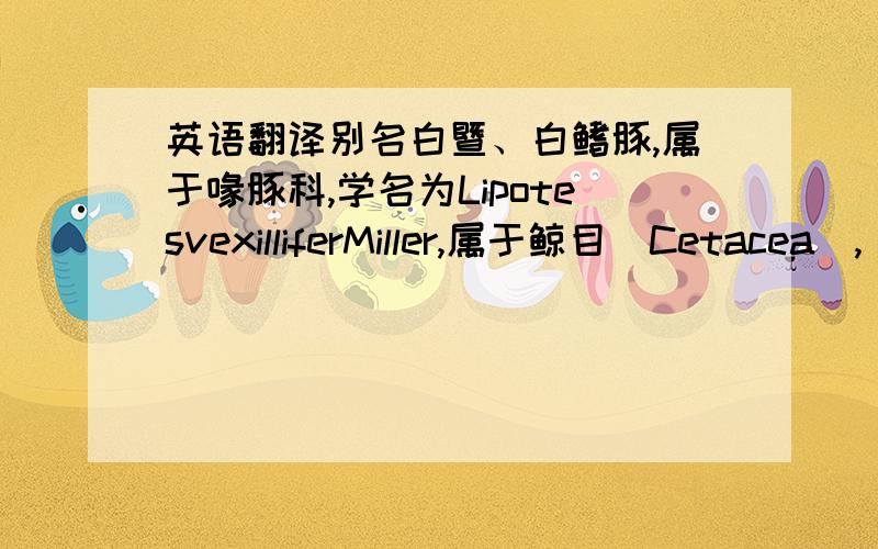 英语翻译别名白暨、白鳍豚,属于喙豚科,学名为LipotesvexilliferMiller,属于鲸目(Cetacea),