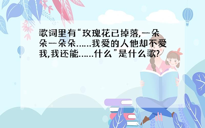 歌词里有“玫瑰花已掉落,一朵朵一朵朵……我爱的人他却不爱我,我还能……什么”是什么歌?