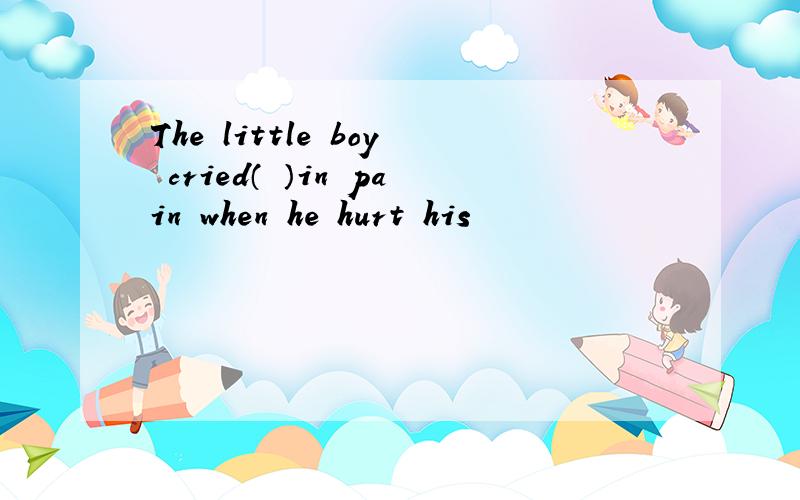 The little boy cried（ ）in pain when he hurt his