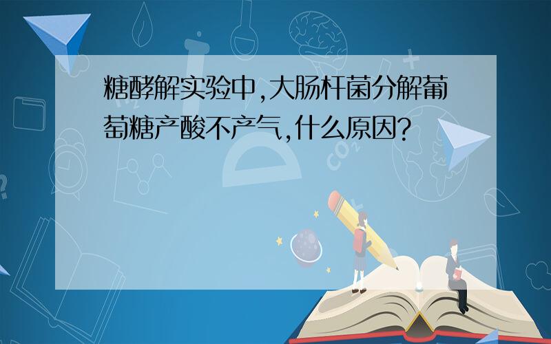 糖酵解实验中,大肠杆菌分解葡萄糖产酸不产气,什么原因?