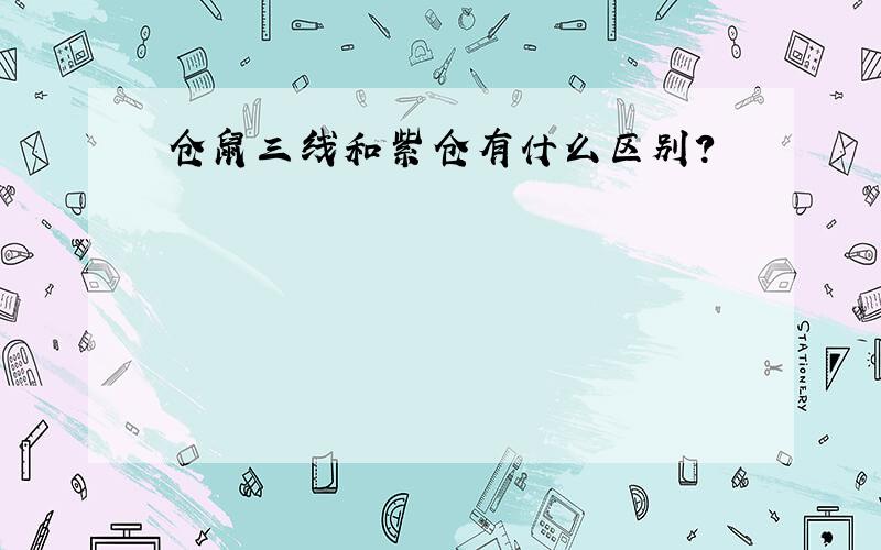 仓鼠三线和紫仓有什么区别?