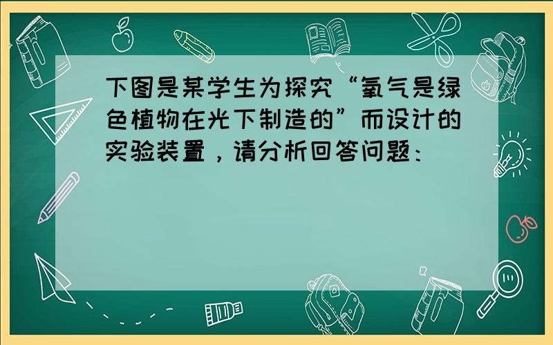 下图是某学生为探究“氧气是绿色植物在光下制造的”而设计的实验装置，请分析回答问题：