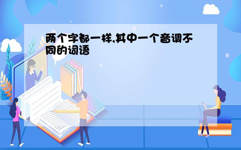 两个字都一样,其中一个音调不同的词语