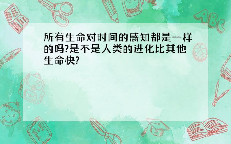 所有生命对时间的感知都是一样的吗?是不是人类的进化比其他生命快?