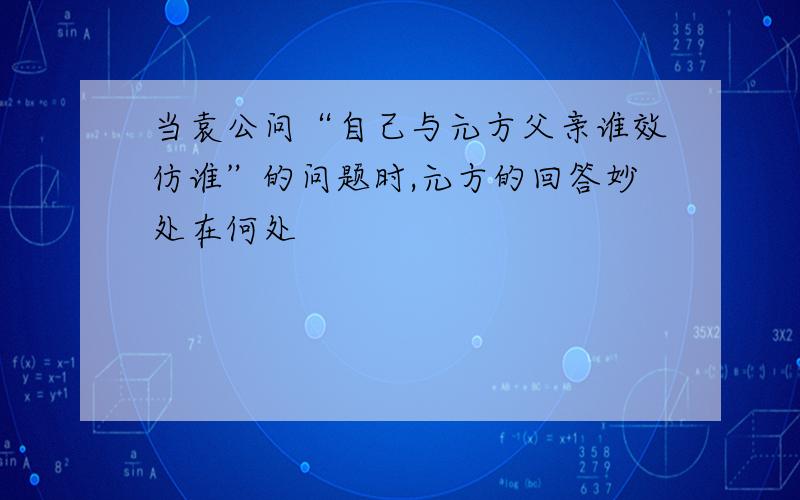 当袁公问“自己与元方父亲谁效仿谁”的问题时,元方的回答妙处在何处