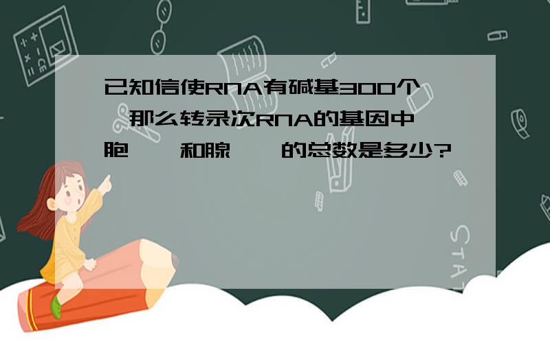 已知信使RNA有碱基300个,那么转录次RNA的基因中,胞嘧啶和腺嘌呤的总数是多少?