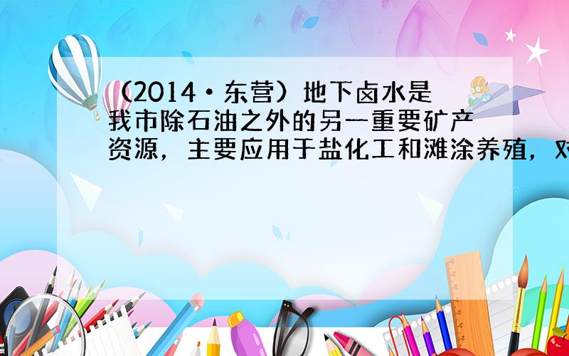 （2014•东营）地下卤水是我市除石油之外的另一重要矿产资源，主要应用于盐化工和滩涂养殖，对沿海经济发展起着越来越重要的