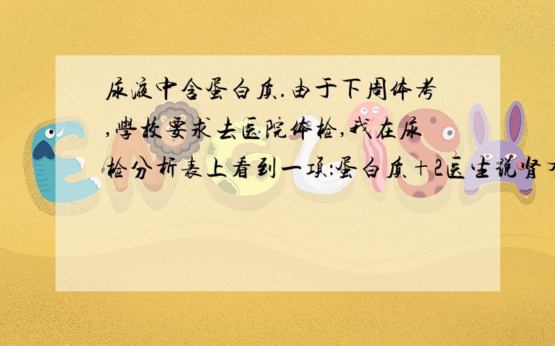 尿液中含蛋白质.由于下周体考,学校要求去医院体检,我在尿检分析表上看到一项：蛋白质+2医生说肾有问题.但是我年纪轻轻,平