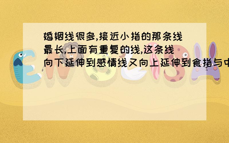 婚姻线很多,接近小指的那条线最长,上面有重复的线,这条线向下延伸到感情线又向上延伸到食指与中指之间