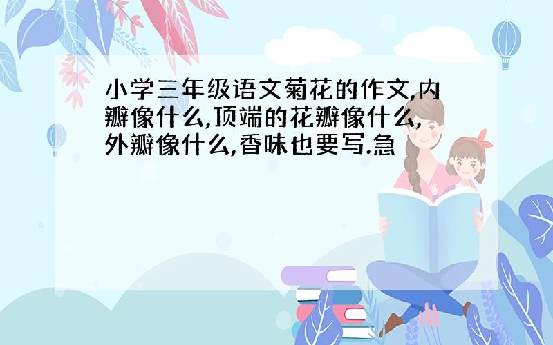 小学三年级语文菊花的作文,内瓣像什么,顶端的花瓣像什么,外瓣像什么,香味也要写.急