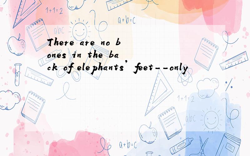 There are no bones in the back of elephants' feet--only