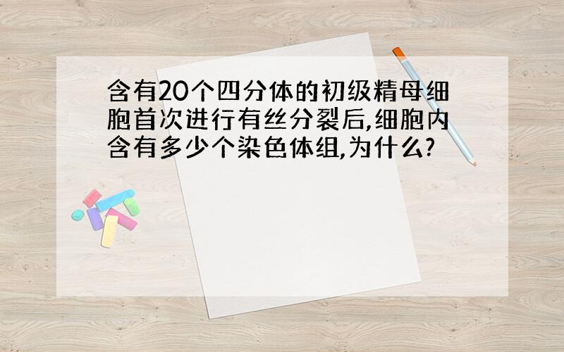 含有20个四分体的初级精母细胞首次进行有丝分裂后,细胞内含有多少个染色体组,为什么?