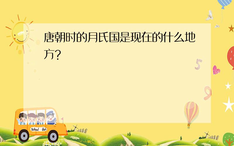 唐朝时的月氏国是现在的什么地方?