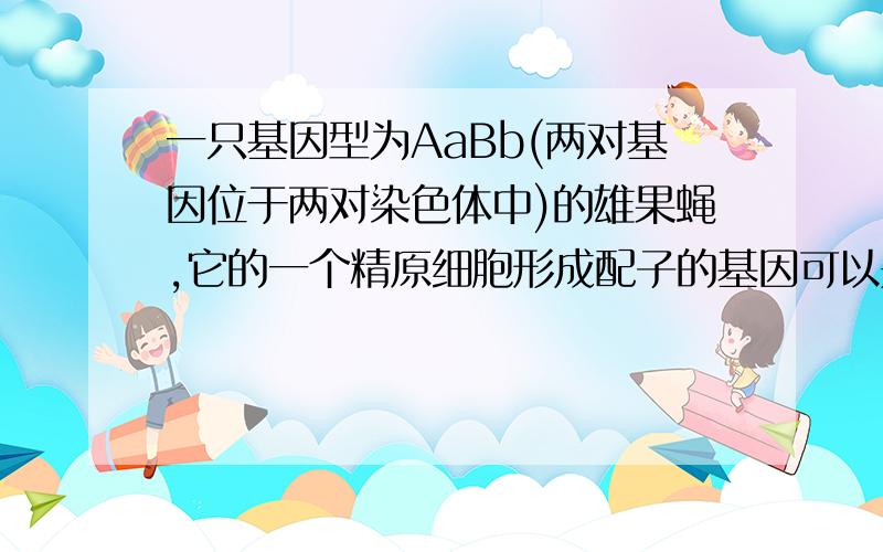 一只基因型为AaBb(两对基因位于两对染色体中)的雄果蝇,它的一个精原细胞形成配子的基因可以是?