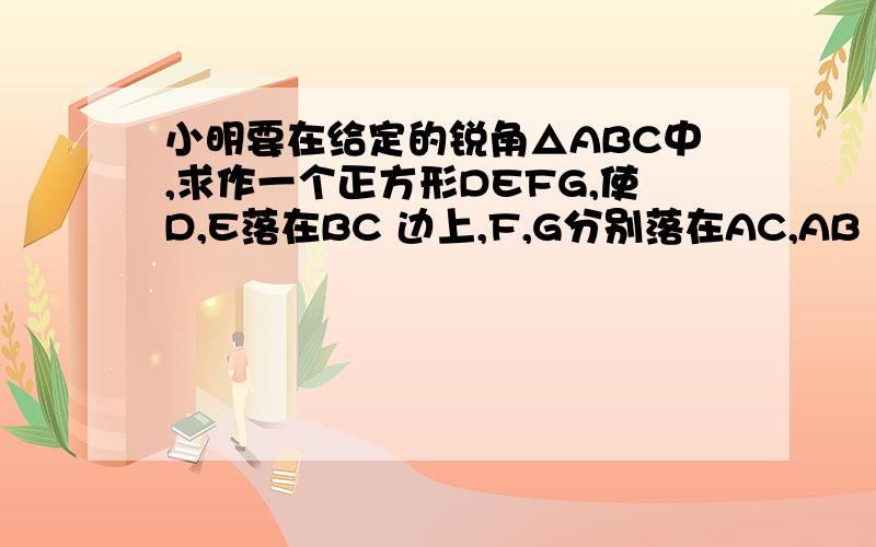 小明要在给定的锐角△ABC中,求作一个正方形DEFG,使D,E落在BC 边上,F,G分别落在AC,AB 上,他的作法如