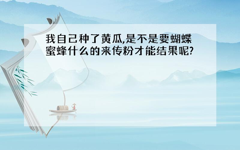 我自己种了黄瓜,是不是要蝴蝶蜜蜂什么的来传粉才能结果呢?