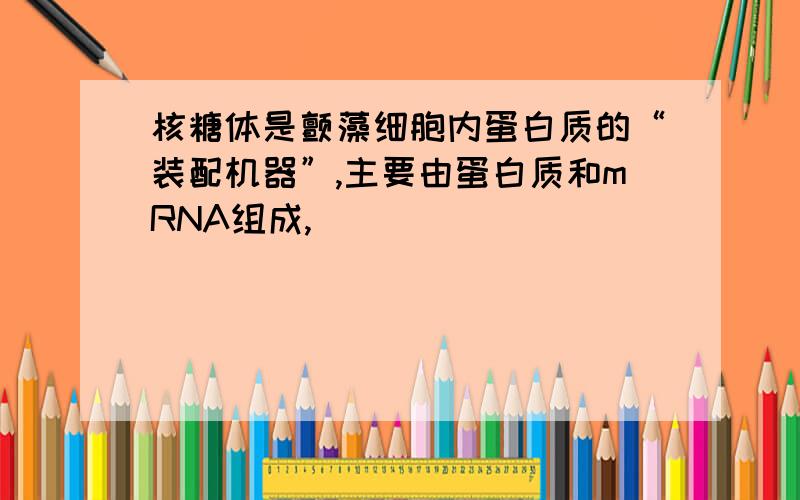 核糖体是颤藻细胞内蛋白质的“装配机器”,主要由蛋白质和mRNA组成,