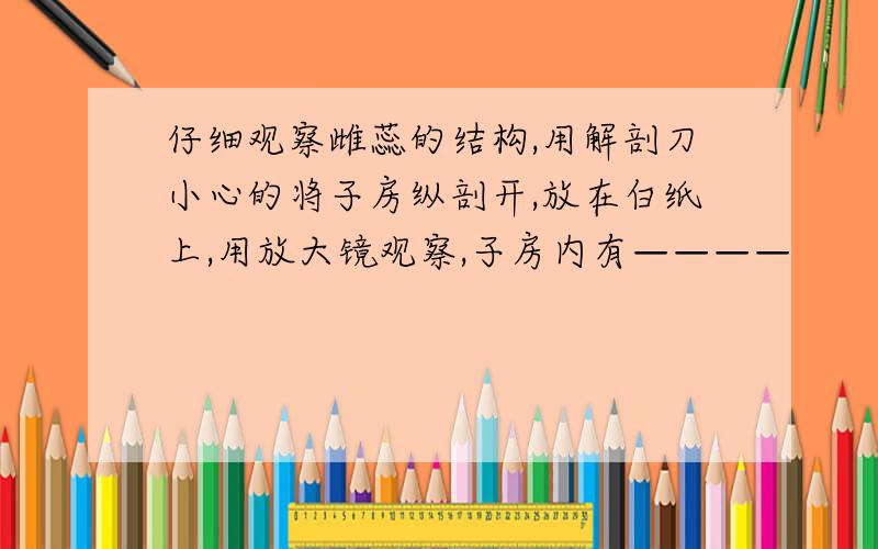 仔细观察雌蕊的结构,用解剖刀小心的将子房纵剖开,放在白纸上,用放大镜观察,子房内有————