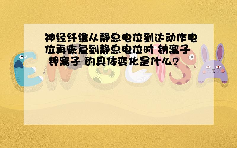 神经纤维从静息电位到达动作电位再恢复到静息电位时 钠离子 钾离子 的具体变化是什么?