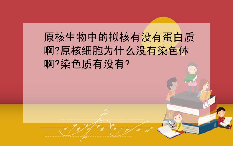 原核生物中的拟核有没有蛋白质啊?原核细胞为什么没有染色体啊?染色质有没有?