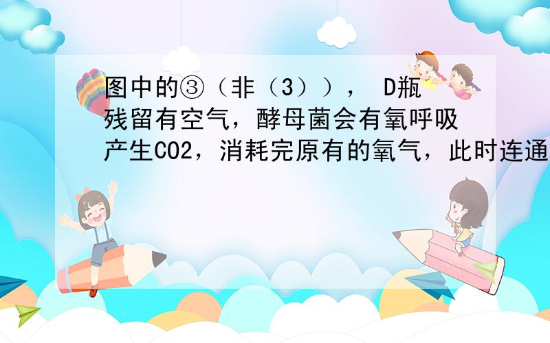 图中的③（非（3））， D瓶残留有空气，酵母菌会有氧呼吸产生CO2，消耗完原有的氧气，此时连通E瓶，那么刚才有氧呼吸产生