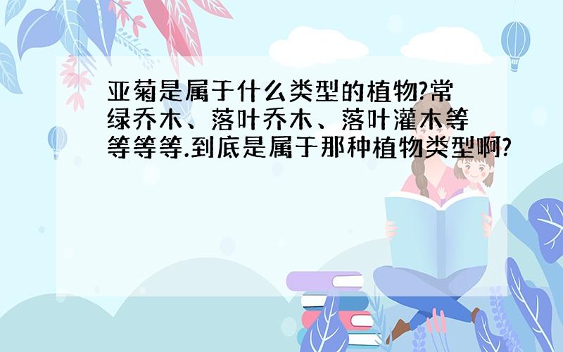 亚菊是属于什么类型的植物?常绿乔木、落叶乔木、落叶灌木等等等等.到底是属于那种植物类型啊?