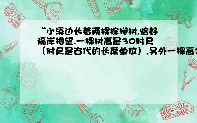 “小溪边长着两棵棕榈树,恰好隔岸相望.一棵树高是30肘尺（肘尺是古代的长度单位）,另外一棵高20肘尺；两棵棕榈树的树干间