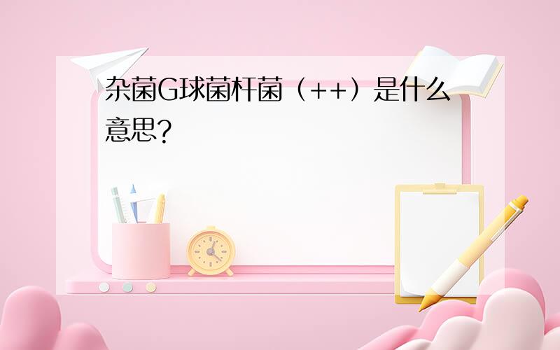 杂菌G球菌杆菌（++）是什么意思?