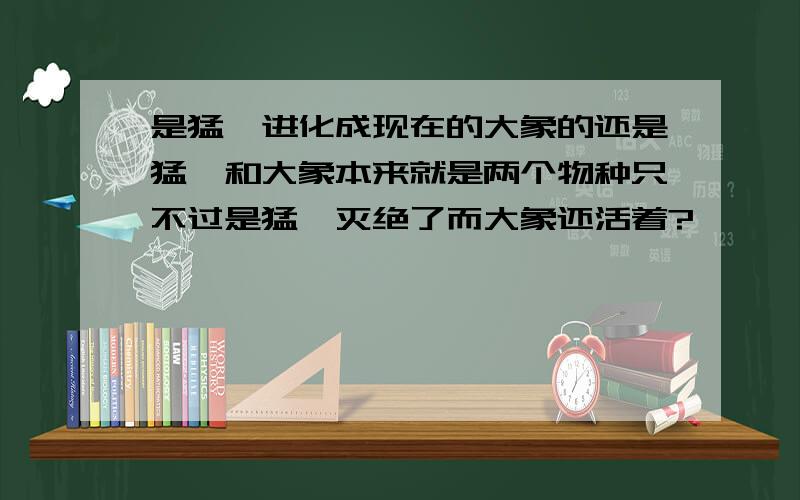 是猛犸进化成现在的大象的还是猛犸和大象本来就是两个物种只不过是猛犸灭绝了而大象还活着?