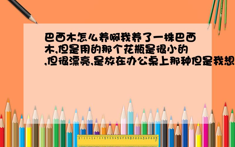 巴西木怎么养啊我养了一株巴西木,但是用的那个花瓶是很小的,但很漂亮,是放在办公桌上那种但是我想,如何让它长的大些,高些,