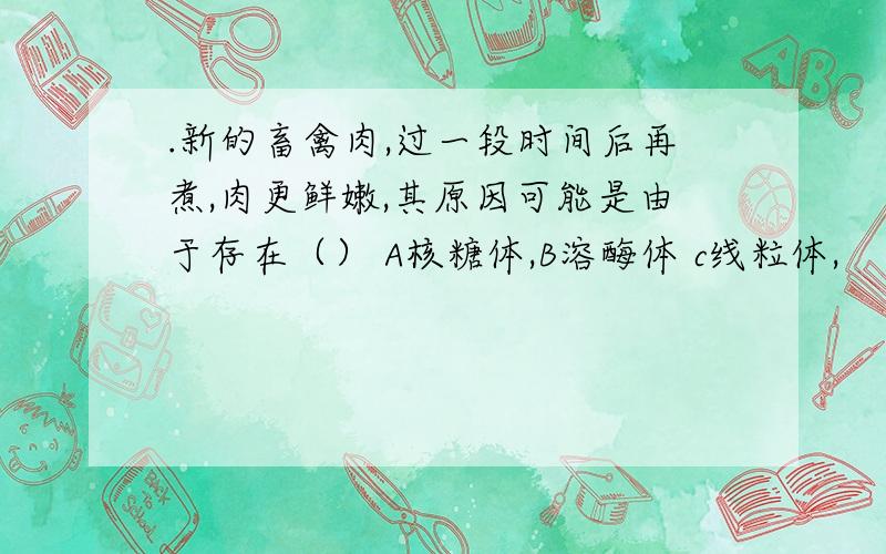 .新的畜禽肉,过一段时间后再煮,肉更鲜嫩,其原因可能是由于存在（） A核糖体,B溶酶体 c线粒体,