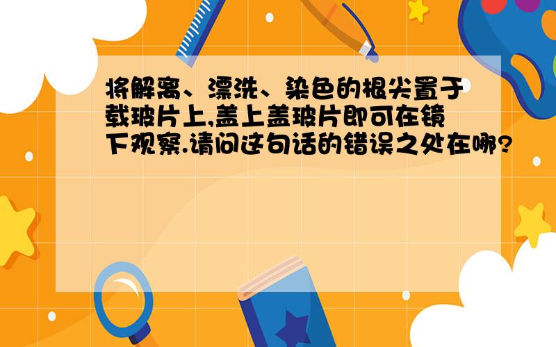 将解离、漂洗、染色的根尖置于载玻片上,盖上盖玻片即可在镜下观察.请问这句话的错误之处在哪?