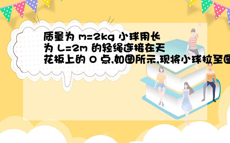 质量为 m=2kg 小球用长为 L=2m 的轻绳连接在天花板上的 O 点,如图所示,现将小球拉至图示位置静止释放,图示位