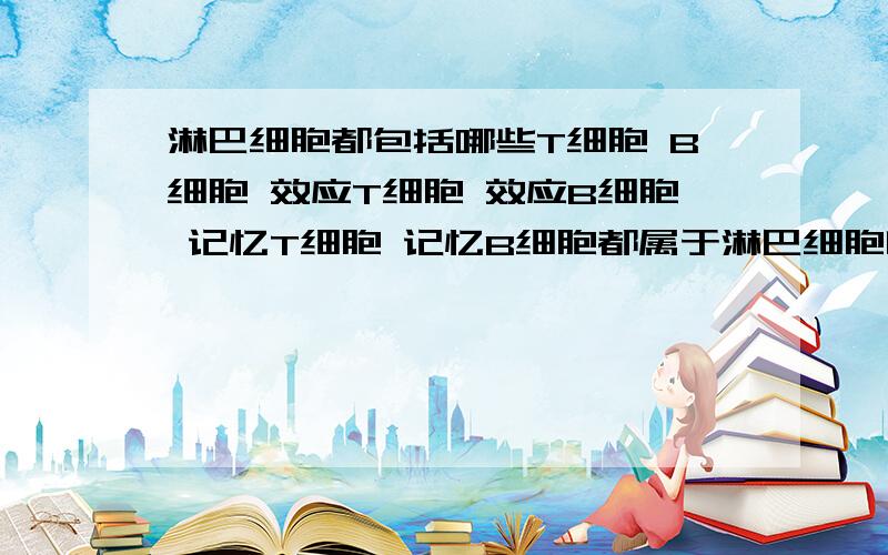 淋巴细胞都包括哪些T细胞 B细胞 效应T细胞 效应B细胞 记忆T细胞 记忆B细胞都属于淋巴细胞吗 请明白人讲讲 不懂的别